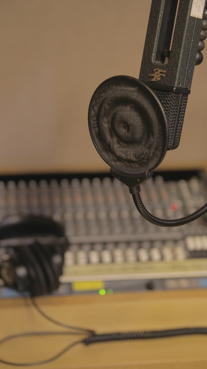 services-mic